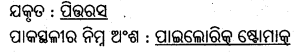 BSE Odisha 10th Class Life Science Important Questions Chapter 1 ପୋଷଣ 9
