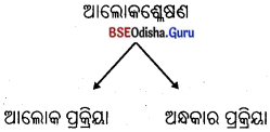 BSE Odisha 10th Class Life Science Notes Chapter 1 ପୋଷଣ 13