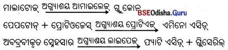 BSE Odisha 10th Class Life Science Notes Chapter 1 ପୋଷଣ 37