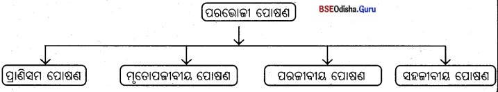 BSE Odisha 10th Class Life Science Notes Chapter 1 ପୋଷଣ 7