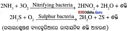 BSE Odisha 10th Class Life Science Notes Chapter 1 ପୋଷଣ 7