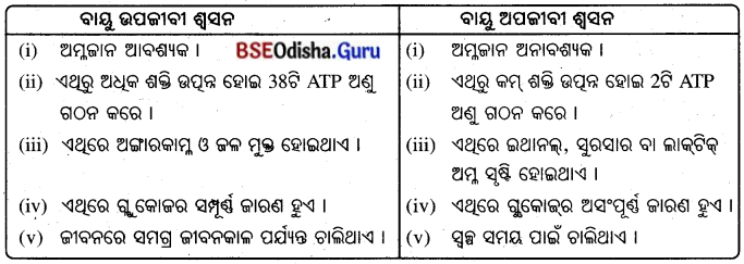 BSE Odisha 10th Class Life Science Notes Chapter 2 ଶ୍ବସନ 4