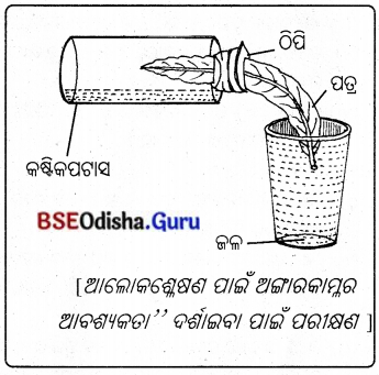 BSE Odisha 10th Class Life Science Solutions Chapter 1 ପୋଷଣ 3