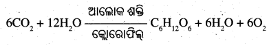 BSE Odisha 10th Class Life Science Solutions Chapter 1 ପୋଷଣ 5