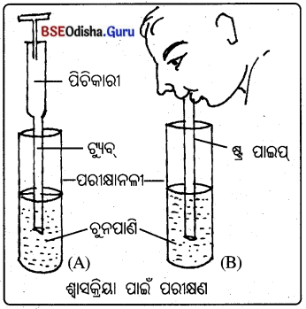 BSE Odisha 10th Class Life Science Solutions Chapter 2 ଶ୍ବସନ 1