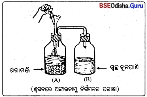 BSE Odisha 10th Class Life Science Solutions Chapter 2 ଶ୍ବସନ 2