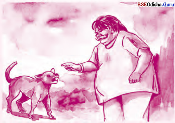 BSE Odisha 6th Class English Solutions Lesson 3 A Greedy Fat Old Man (II) 