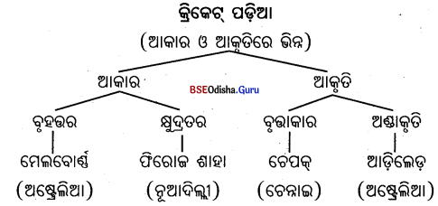 BSE Odisha 7th Class English Solutions Follow-Up Lesson 2 A Tiny Warrior session 2.1
