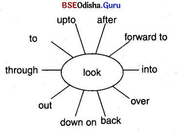CHSE Odisha Class 12 English Grammar Phrasal Verbs