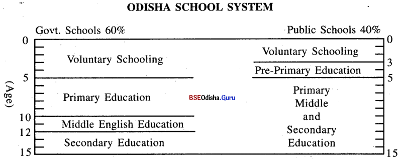 Draw a diagram to present the facts on the school system in Odisha. Then, present the same information in words, in two or there paragraphs, (as has been done above for, the British School System).