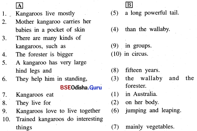 The sentences below are about kangaroo. One part of each sentence is under A and the other part is under B. Put the number in brackets and match them answer