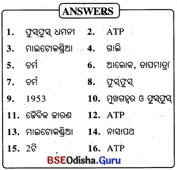 BSE Odisha 10th Class Life Science Important Questions Chapter 2 ଶ୍ବସନ 2