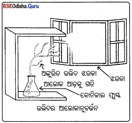 BSE Odisha 10th Class Life Science Notes Chapter 5 ନିୟନ୍ତ୍ରଣ ଓ ସମନ୍ଵୟ 1