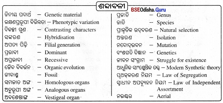 BSE Odisha 10th Class Life Science Notes Chapter 7 ବଂଶାନୁକ୍ରମ ଓ ବିବର୍ତ୍ତନ 9