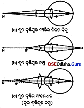 BSE Odisha 10th Class Physical Science Important Questions Chapter 7img-6