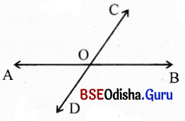 BSE Odisha 9th Class Maths Solutions Geometry Chapter 1 ରେଖା ଓ କୋଣ Ex 1(b) 9