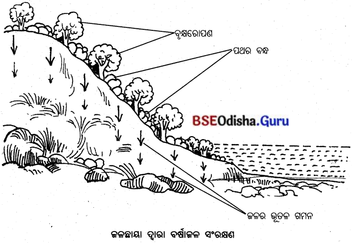 BSE Odisha 10th Class Life Science Notes Chapter 10 ପ୍ରାକୃତିକ ସମ୍ପଦର ସଂରକ୍ଷଣ 2