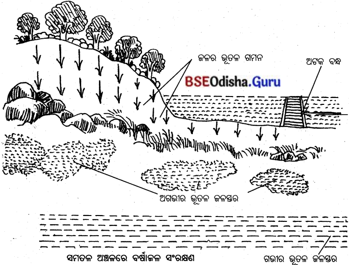 BSE Odisha 10th Class Life Science Notes Chapter 10 ପ୍ରାକୃତିକ ସମ୍ପଦର ସଂରକ୍ଷଣ 3