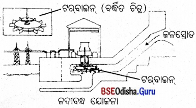 BSE Odisha 10th Class Life Science Notes Chapter 8 ଶକ୍ତିର ଉତ୍ସ 6