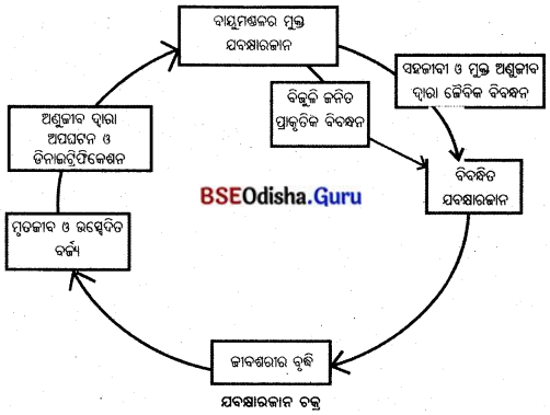 BSE Odisha 10th Class Life Science Notes Chapter 9 ଆମ ପରିବେଶ 4
