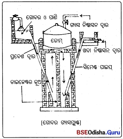 BSE Odisha 10th Class Life Science Solutions Chapter 8 ଶକ୍ତିର ଉତ୍ସ 3