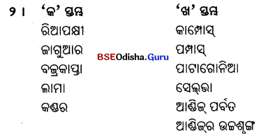 BSE Odisha 6th Class Geography Important Questions Chapter 6(d) ଦକ୍ଷିଣ ଆମେରିକା 3