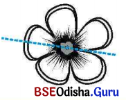 BSE Odisha 7th Class Maths Solutions Chapter 9 ପ୍ରତିସମତା ଓ ସର୍ବସମତା Ex 9.1 15