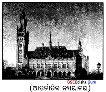 BSE Odisha 9th Class History Notes Chapter 4 ଶାନ୍ତି ପାଇଁ ପ୍ରାରମ୍ଭିକ ଉଦ୍ୟମ 3