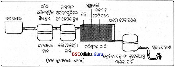 BSE Odisha 9th Class Physical Science Solutions Chapter 2 img-19