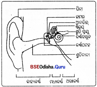BSE Odisha 9th Class Physical Science Solutions Chapter 9 img-8