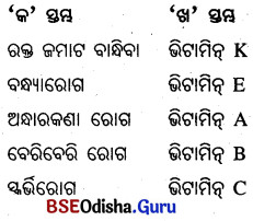 BSE Odisha 6th Class Science Important Questions Chapter 2 ଖାଦ୍ୟର ଶ୍ରେଣୀ ବିଭାଗ - 3