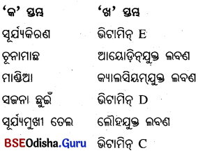 BSE Odisha 6th Class Science Important Questions Chapter 2 ଖାଦ୍ୟର ଶ୍ରେଣୀ ବିଭାଗ - 4