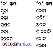 BSE Odisha 6th Class Science Important Questions Chapter 4 ଦୈନନ୍ଦିନ ଜୀବନରେ ବ୍ୟବହୃତ ବସ୍ତୁ - 1