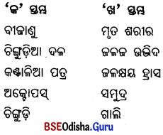 BSE Odisha 6th Class Science Important Questions Chapter 8 ପରିସ୍ଥାନ - 2