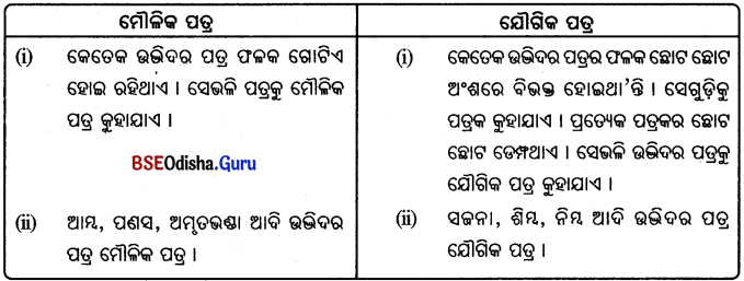 BSE Odisha 6th Class Science Important Questions Chapter 9 ଉଭିଦର ବିଭିନ୍ନ ଅଂଶର ଗଠନ ଓ କାର୍ଯ୍ୟ - 2