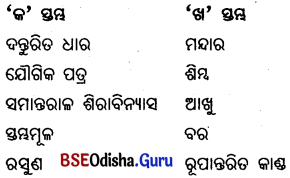 BSE Odisha 6th Class Science Important Questions Chapter 9 ଉଭିଦର ବିଭିନ୍ନ ଅଂଶର ଗଠନ ଓ କାର୍ଯ୍ୟ - 5