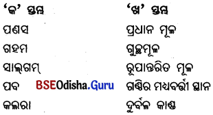 BSE Odisha 6th Class Science Important Questions Chapter 9 ଉଭିଦର ବିଭିନ୍ନ ଅଂଶର ଗଠନ ଓ କାର୍ଯ୍ୟ - 7