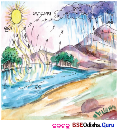 BSE Odisha 6th Class Science Solutions Chapter 14 ପ୍ରାକୃତିକ ଘଟଣାବଳୀ - 6