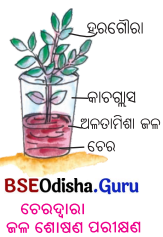 BSE Odisha 6th Class Science Solutions Chapter 16 ଜଳ - 3