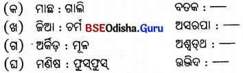 BSE Odisha 6th Class Science Solutions Chapter 17 ଜୀବଜଗତ ପାଇଁ ବାୟୁର ଗୁରୁତ୍ଵ - 1