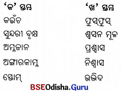 BSE Odisha 6th Class Science Solutions Chapter 17 ଜୀବଜଗତ ପାଇଁ ବାୟୁର ଗୁରୁତ୍ଵ - 3