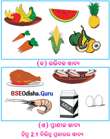 BSE Odisha 6th Class Science Solutions Chapter 2 ଖାଦ୍ୟର ଶ୍ରେଣୀ ବିଭାଗ - 4