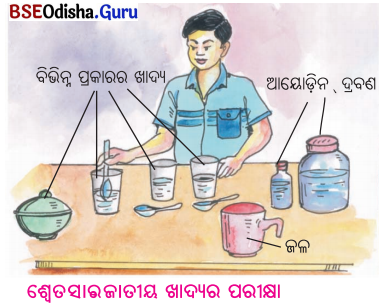 BSE Odisha 6th Class Science Solutions Chapter 2 ଖାଦ୍ୟର ଶ୍ରେଣୀ ବିଭାଗ - 6