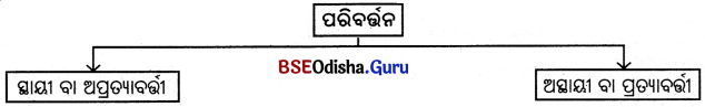 BSE Odisha 6th Class Science Solutions Chapter 6 ବସ୍ତୁର ଓ ପଦାର୍ଥର ପରିବର୍ତ୍ତନ - 5