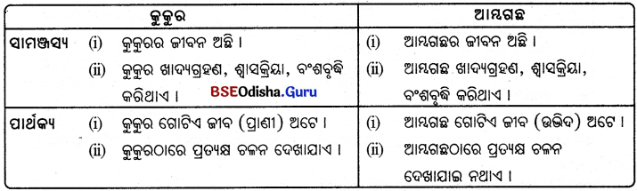 BSE Odisha 6th Class Science Solutions Chapter 7 ଜୀବ ଓ ନିର୍ଜୀବ - 1