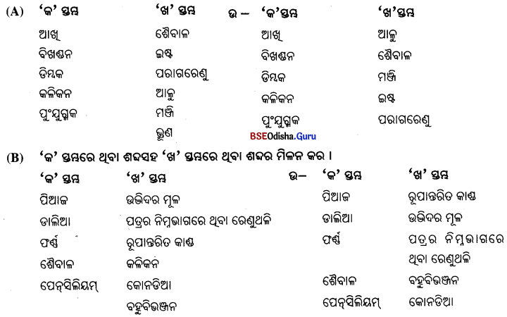 BSE Odisha 7th Class Science Important Questions Chapter 10 Img 2
