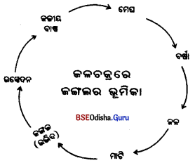 BSE Odisha 7th Class Science Important Questions Chapter 16 Img 1