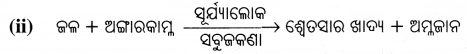 BSE Odisha 7th Class Science Important Questions Chapter 5 Img 3
