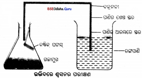 BSE Odisha 7th Class Science Important Questions Chapter 9 Img 1