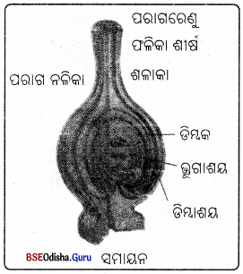 BSE Odisha 7th Class Science Solutions Chapter 10 Img 2
